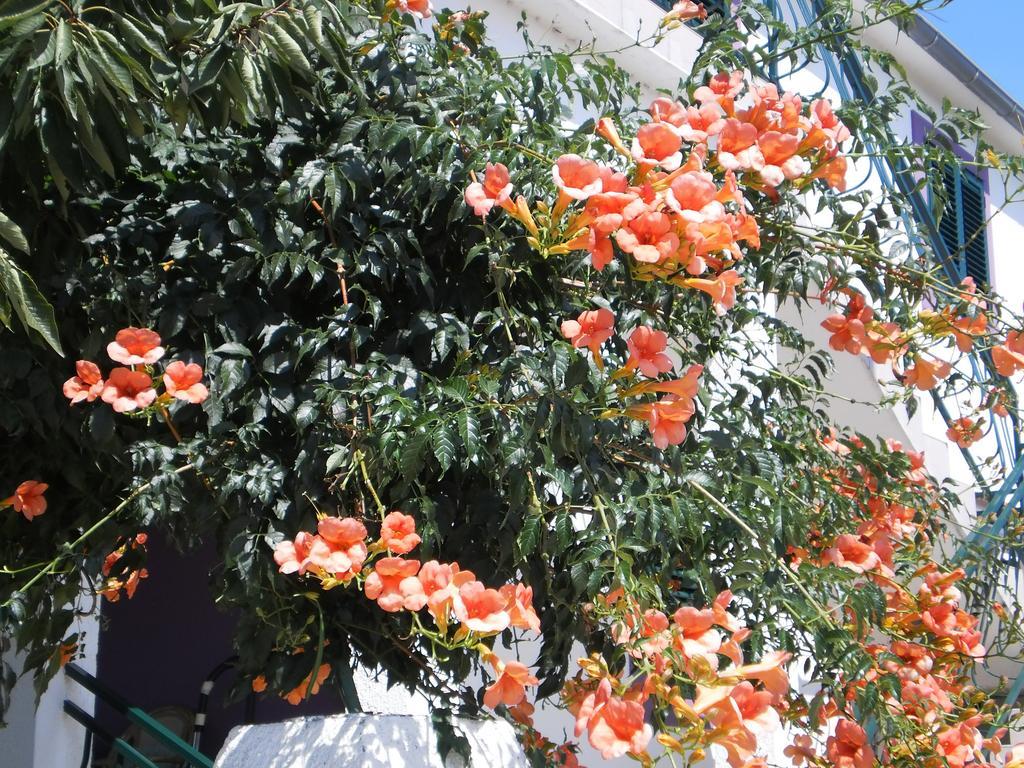 Apartment Boja Biograd Na Moru Εξωτερικό φωτογραφία